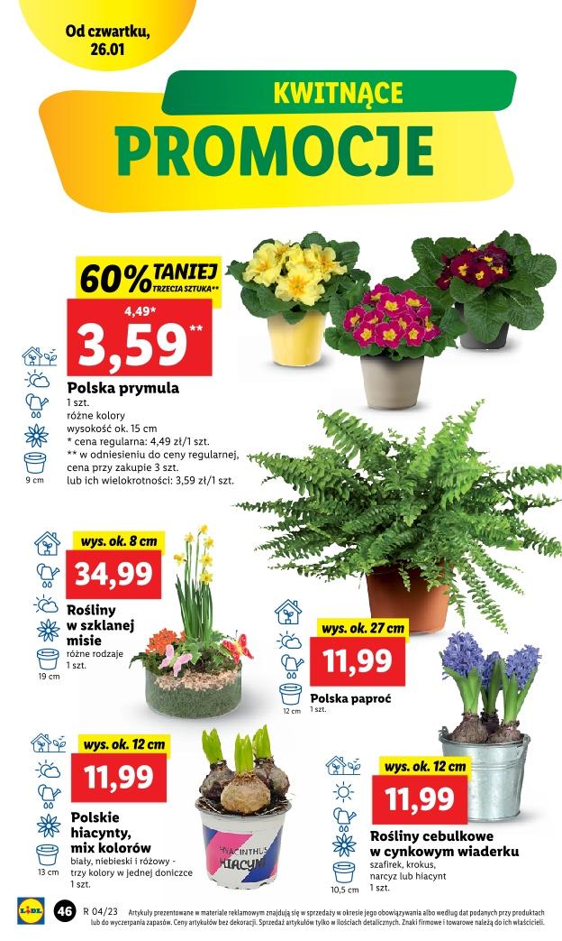 Gazetka promocyjna Lidl str. 52