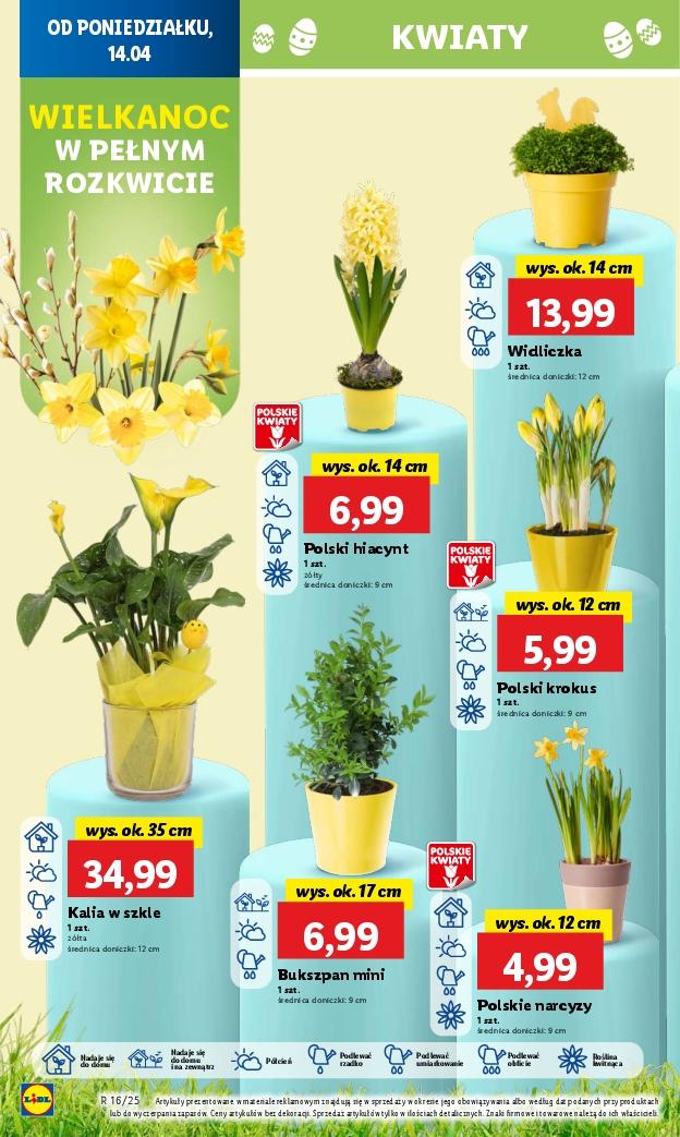 Gazetka promocyjna Lidl str. 52