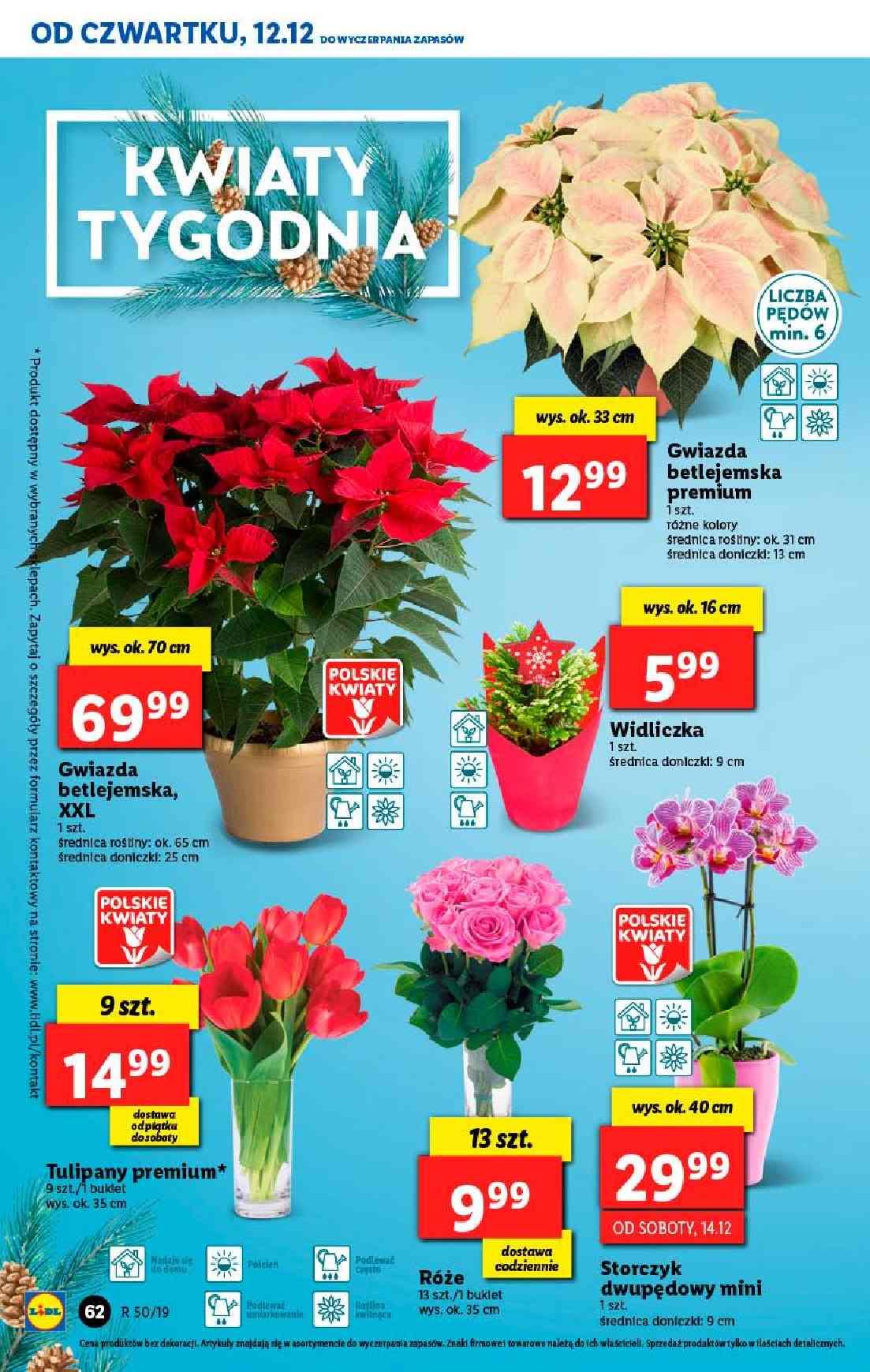 Gazetka promocyjna Lidl str. 62