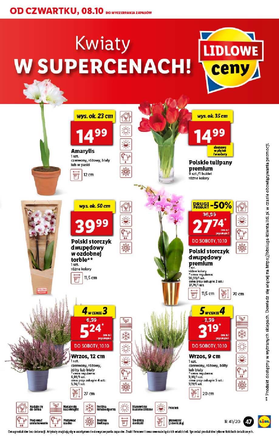 Gazetka promocyjna Lidl str. 47
