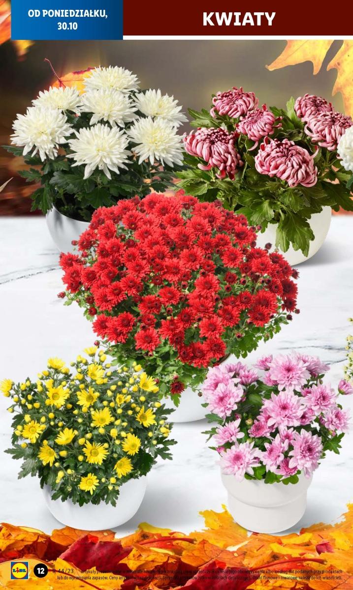 Gazetka promocyjna Lidl str. 20