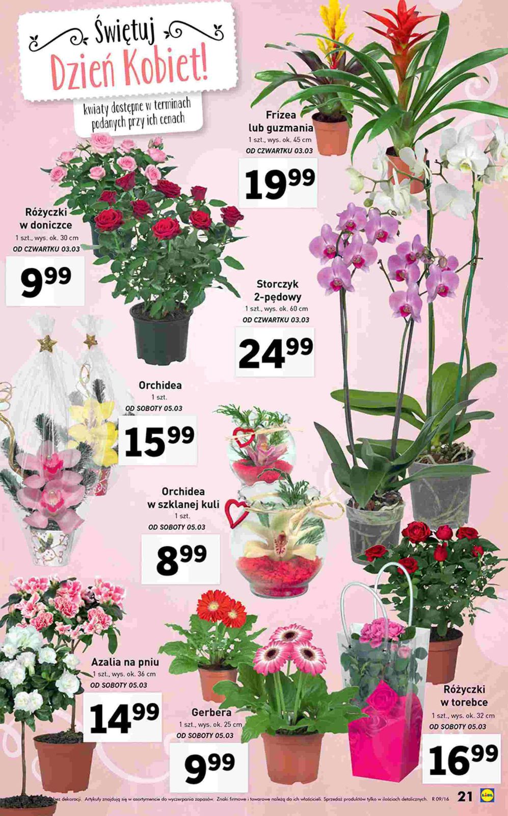 Gazetka promocyjna Lidl str. 21