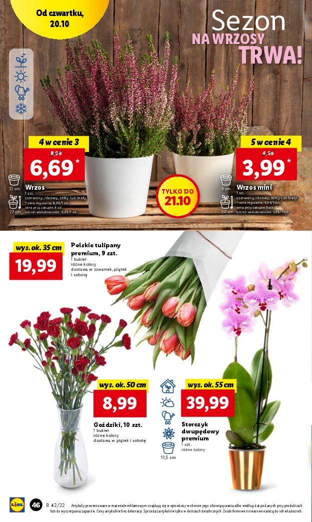 Gazetka promocyjna Lidl str. 54