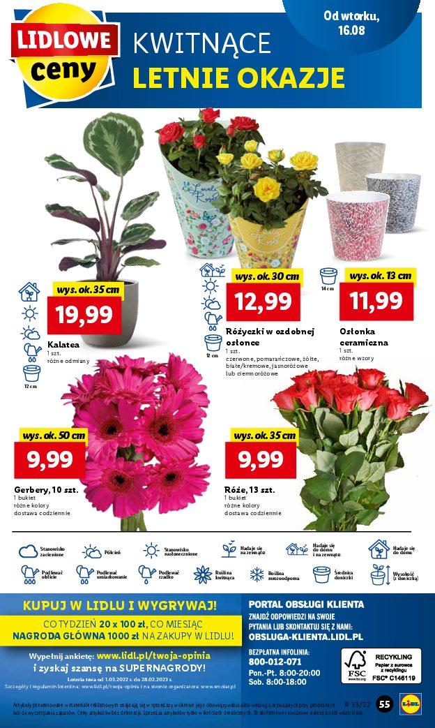 Gazetka promocyjna Lidl str. 55