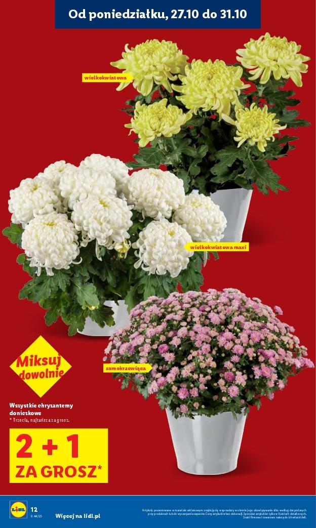 Gazetka promocyjna Lidl str. 11