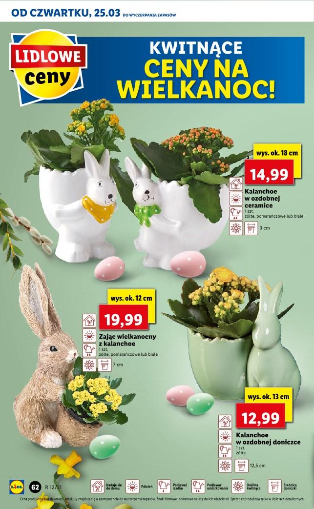 Gazetka promocyjna Lidl str. 62