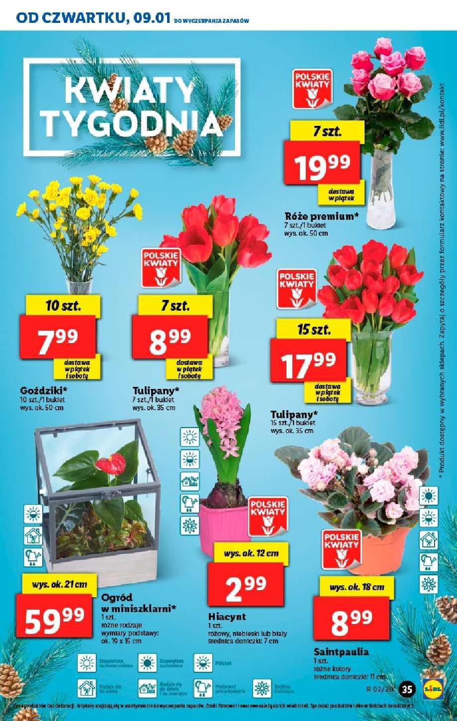 Gazetka promocyjna Lidl str. 35