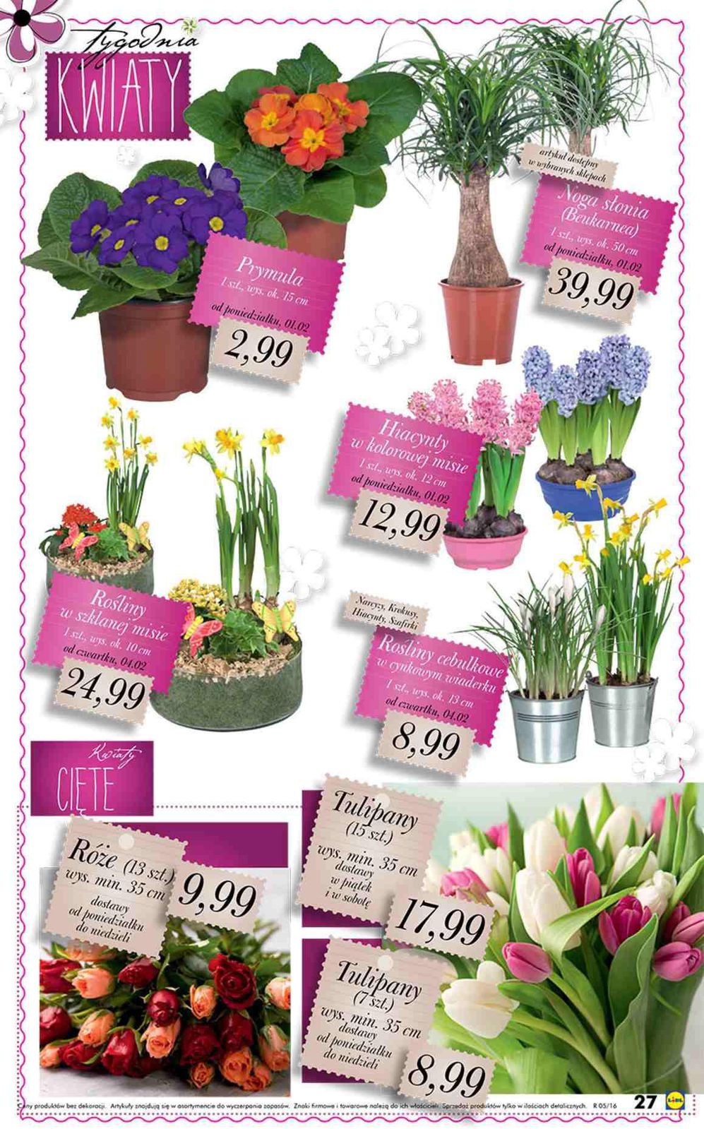 Gazetka promocyjna Lidl str. 27