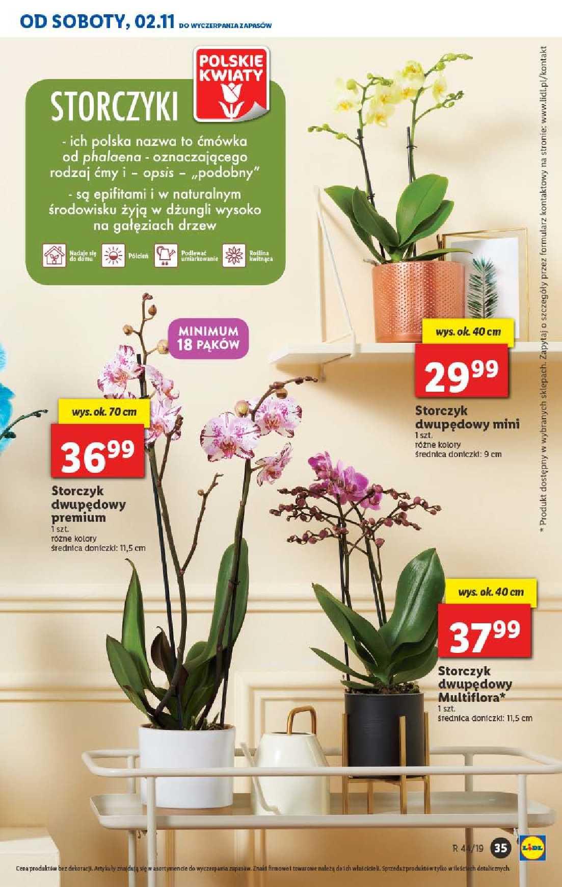 Gazetka promocyjna Lidl str. 35