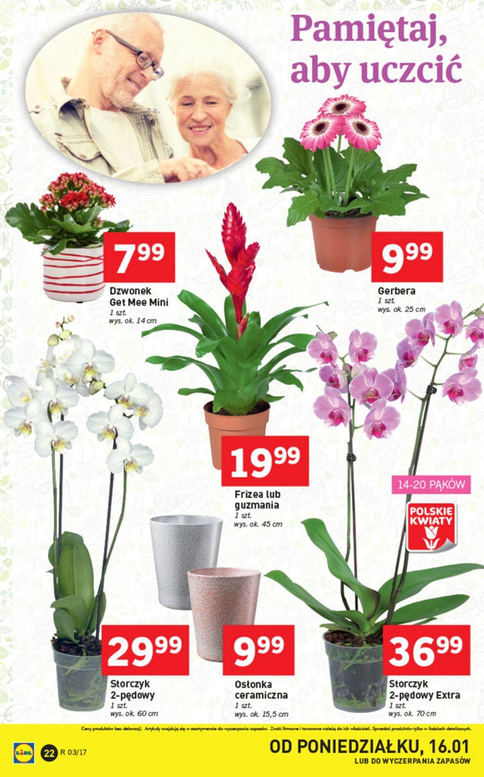 Gazetka promocyjna Lidl str. 22