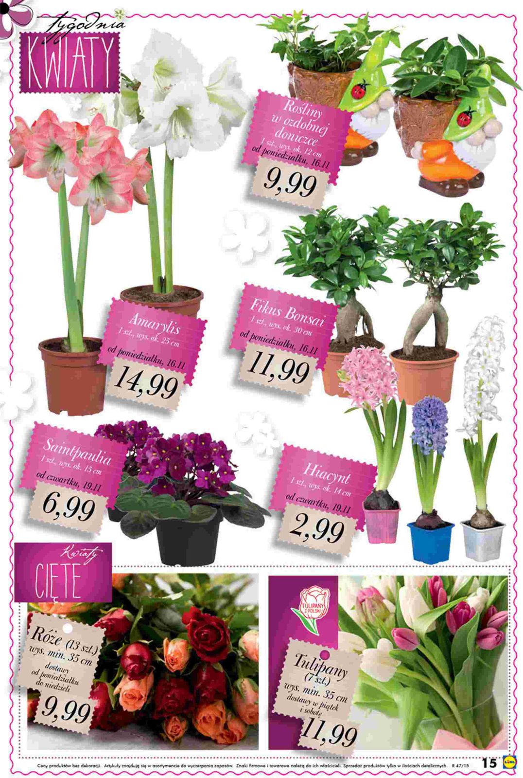 Gazetka promocyjna Lidl str. 15