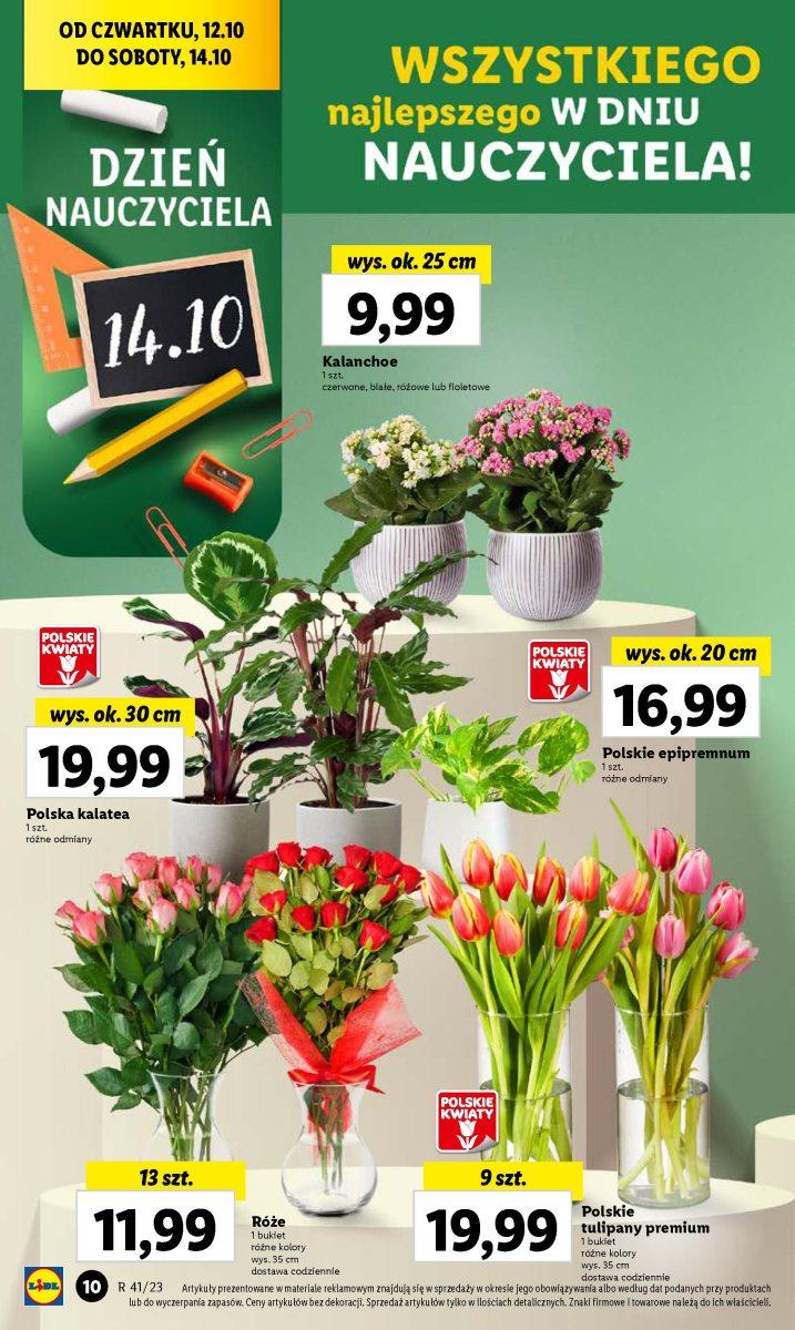 Gazetka promocyjna Lidl str. 20