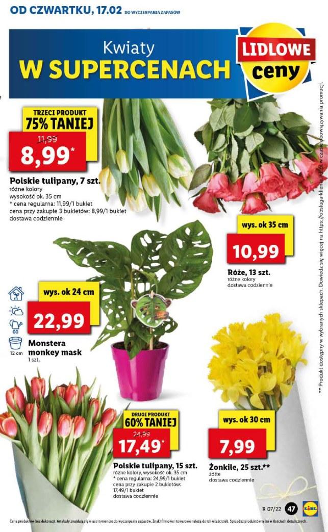 Gazetka promocyjna Lidl str. 47