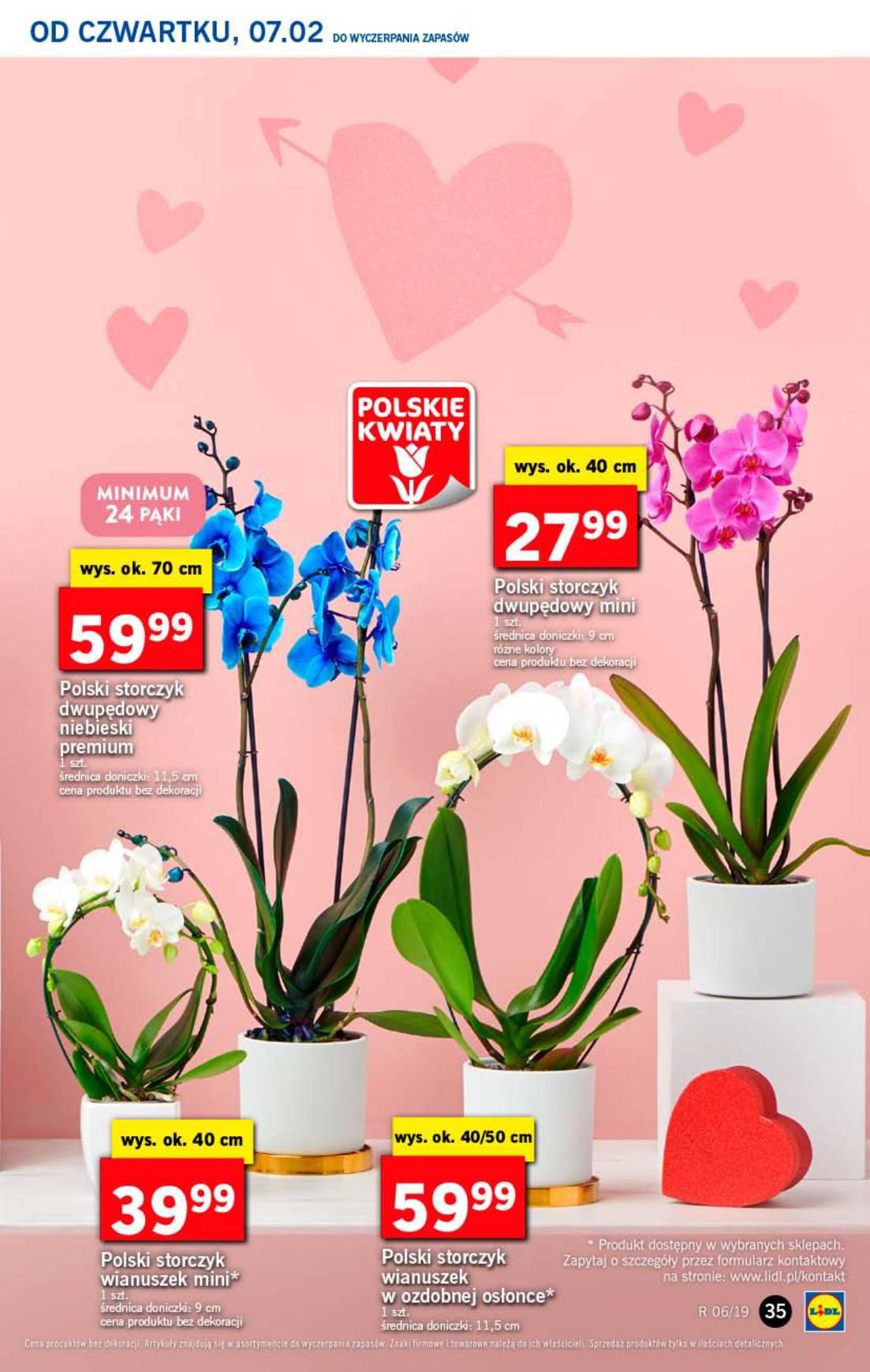 Gazetka promocyjna Lidl str. 35