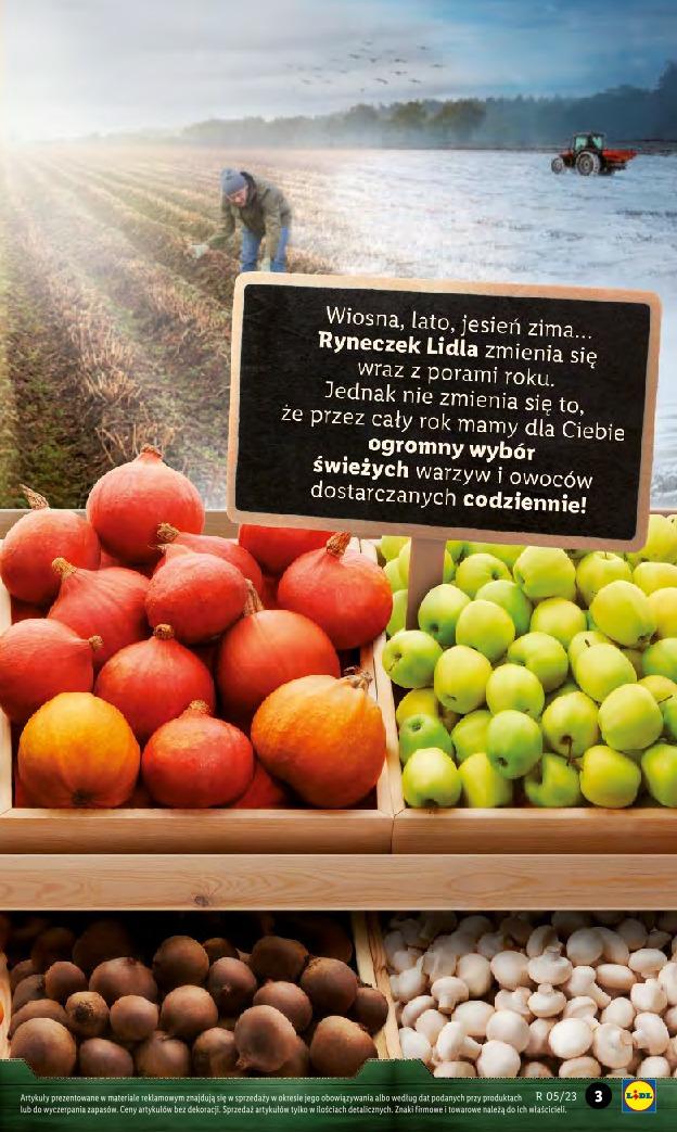 Gazetka promocyjna Lidl str. 3