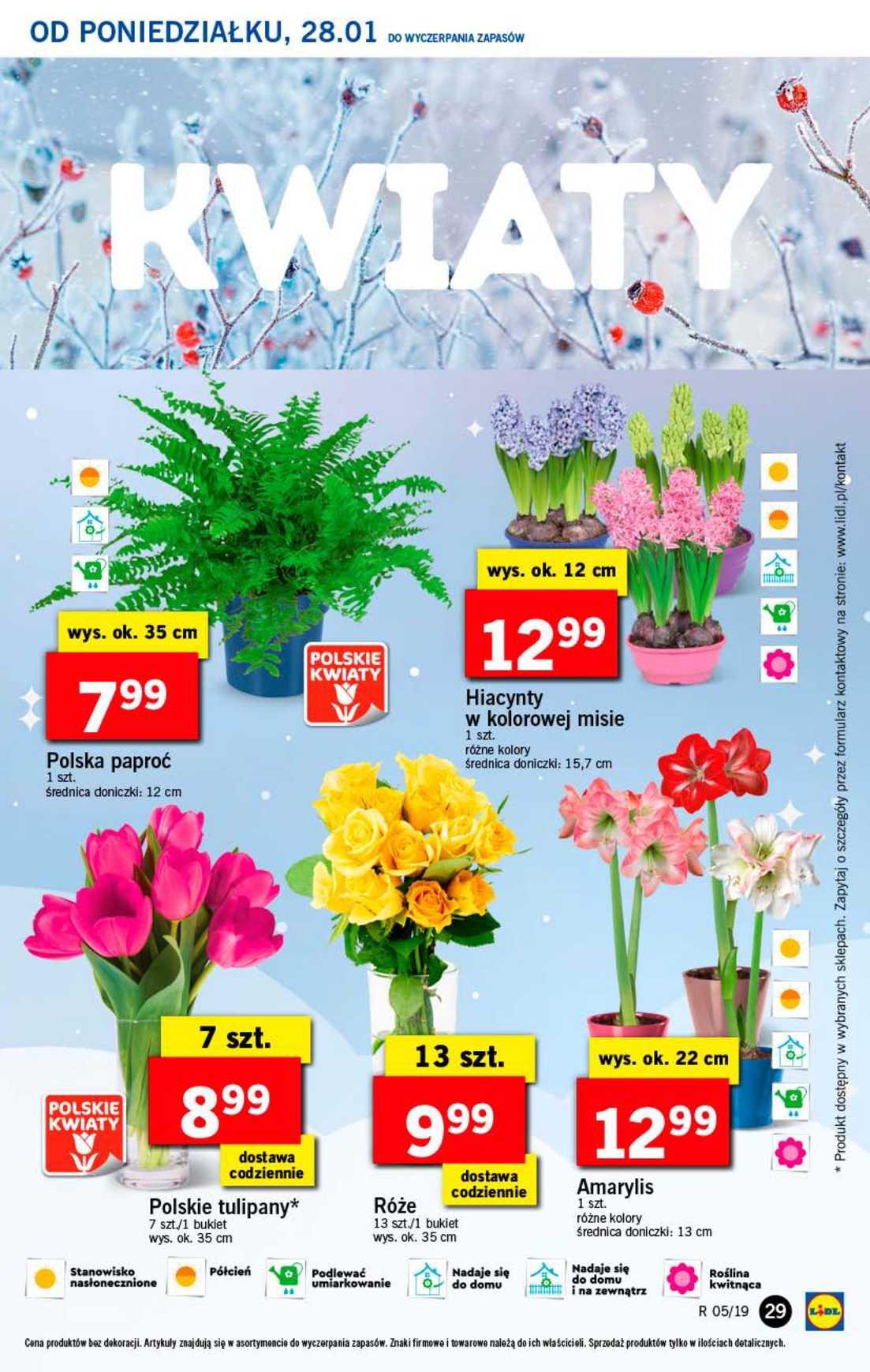 Gazetka promocyjna Lidl str. 29