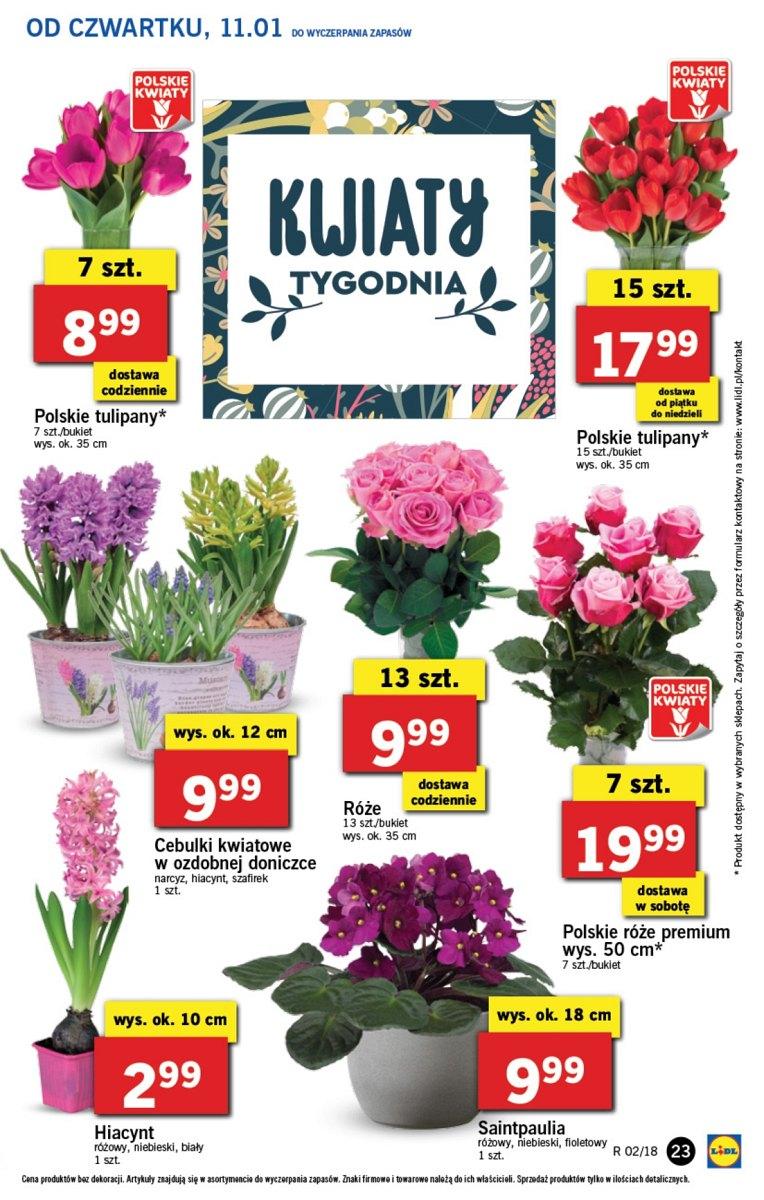 Gazetka promocyjna Lidl str. 23