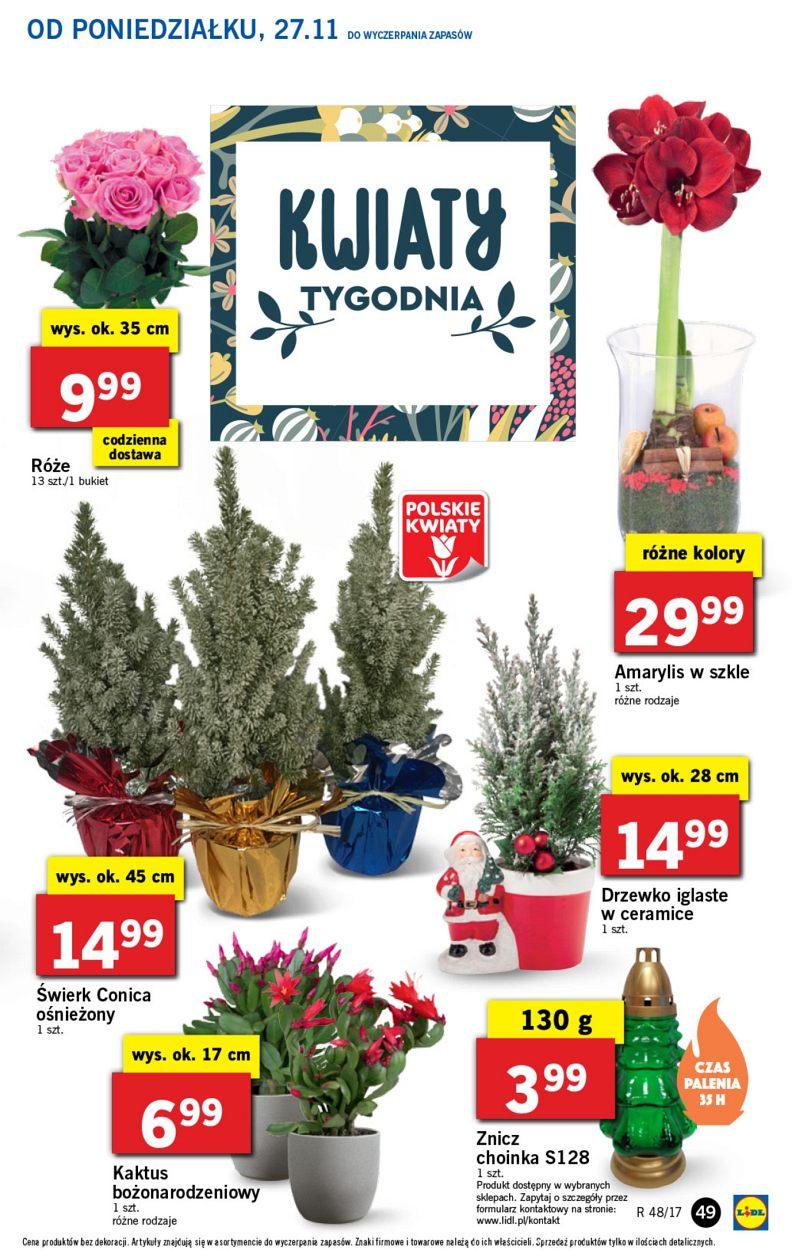 Gazetka promocyjna Lidl str. 49