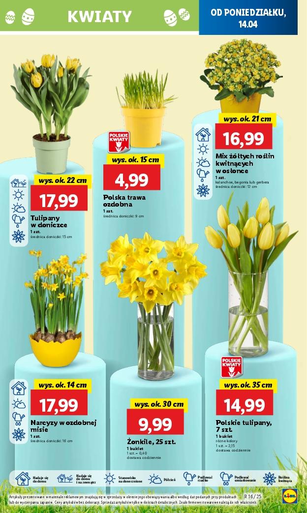 Gazetka promocyjna Lidl str. 53
