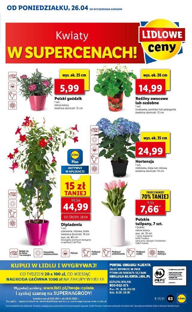 Gazetka promocyjna Lidl str. 63