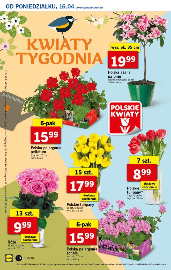 Gazetka promocyjna Lidl str. 31