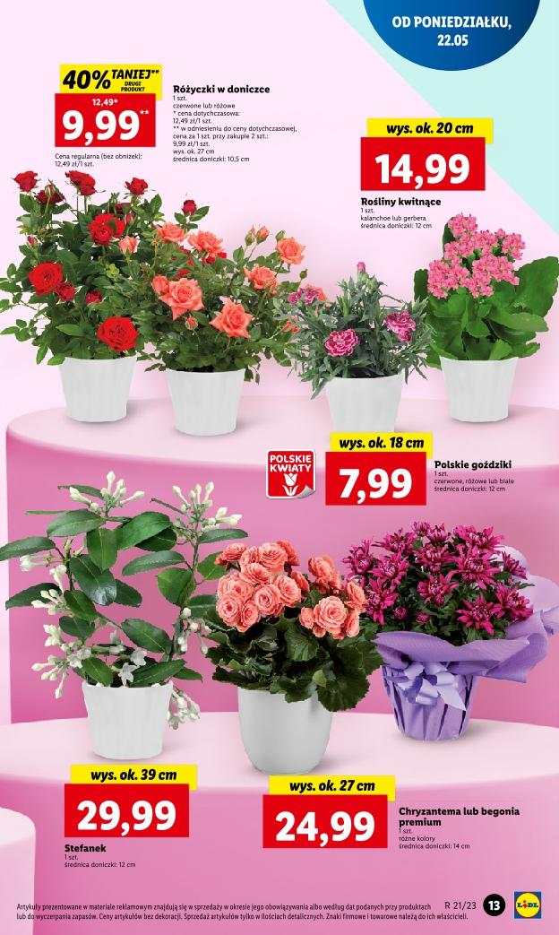 Gazetka promocyjna Lidl str. 13