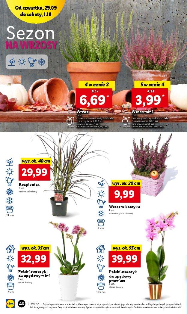 Gazetka promocyjna Lidl str. 46