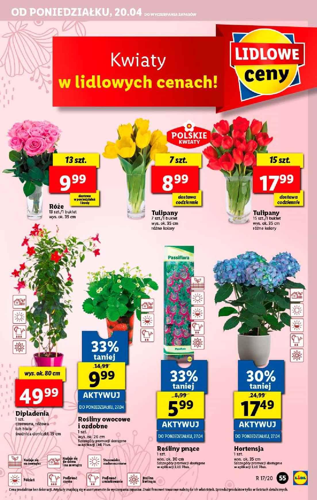 Gazetka promocyjna Lidl str. 55
