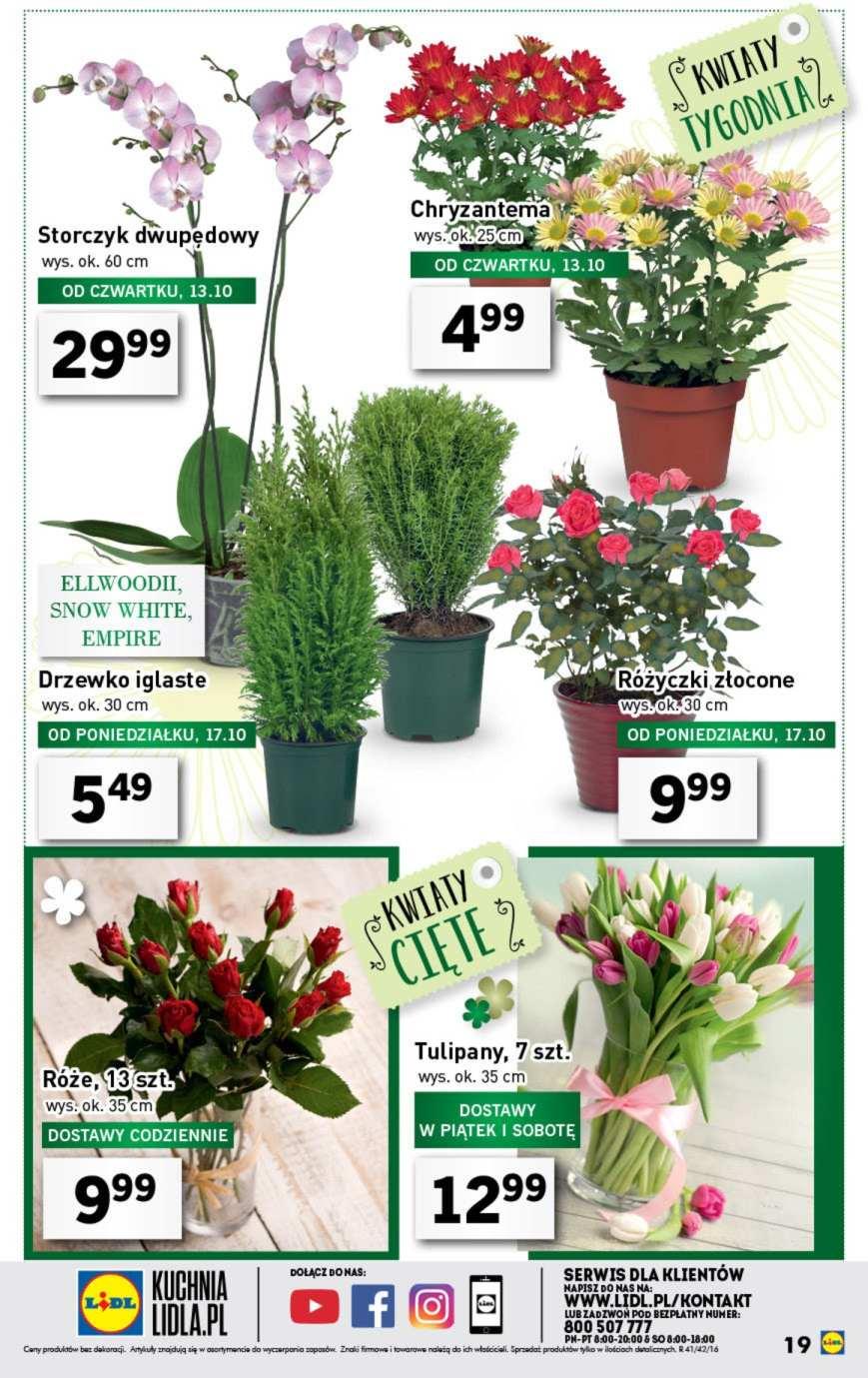 Gazetka promocyjna Lidl str. 19