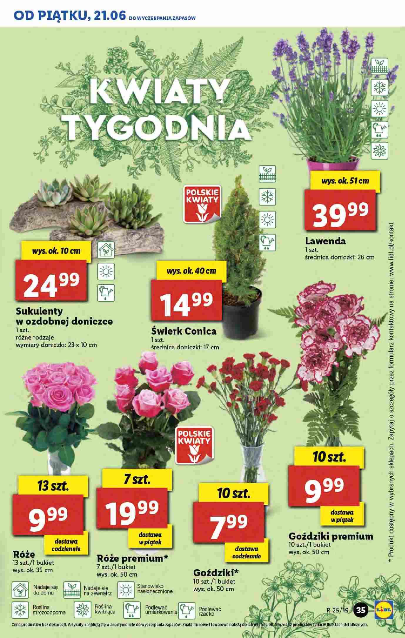 Gazetka promocyjna Lidl str. 35