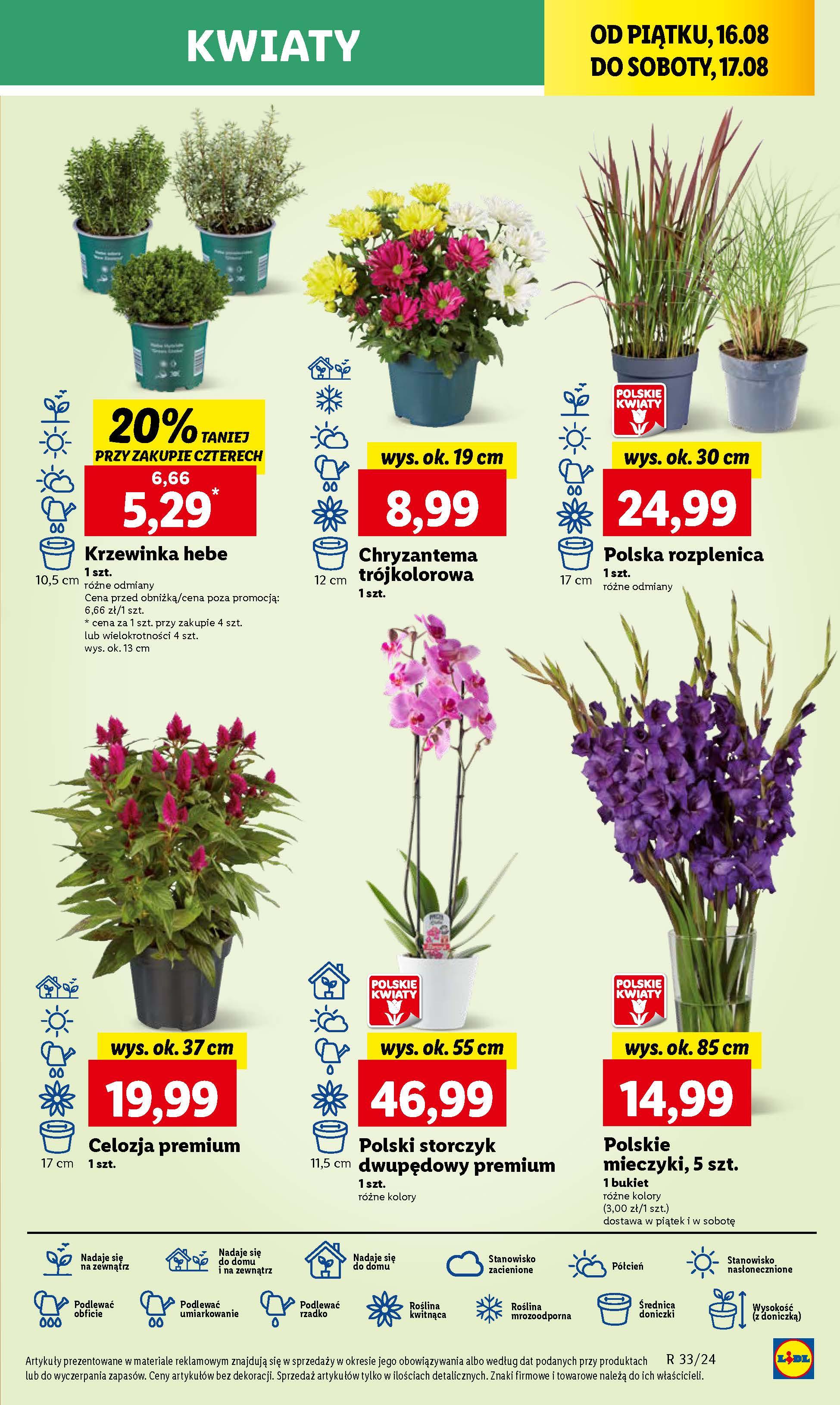 Gazetka promocyjna Lidl str. 41