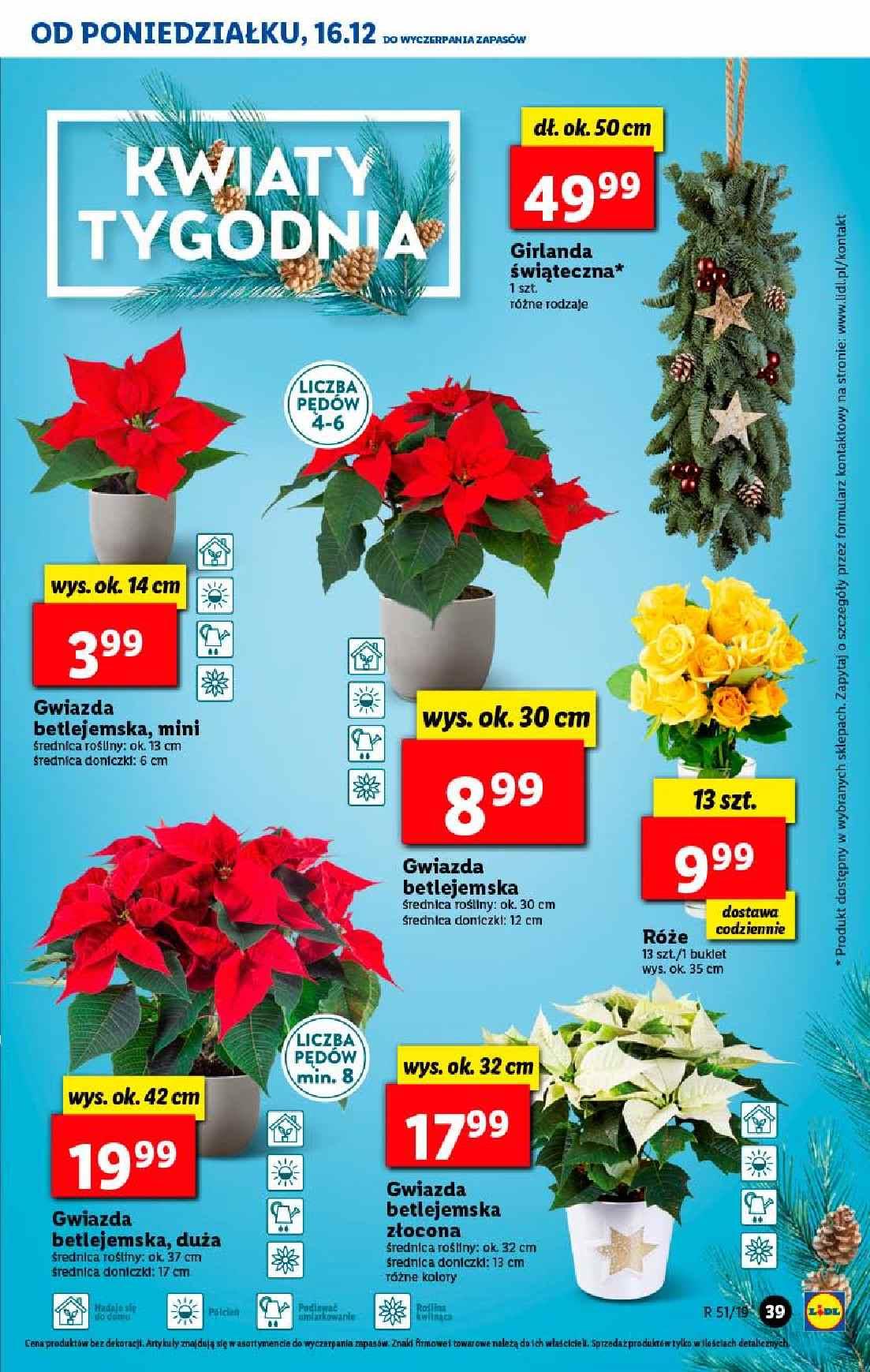 Gazetka promocyjna Lidl str. 39