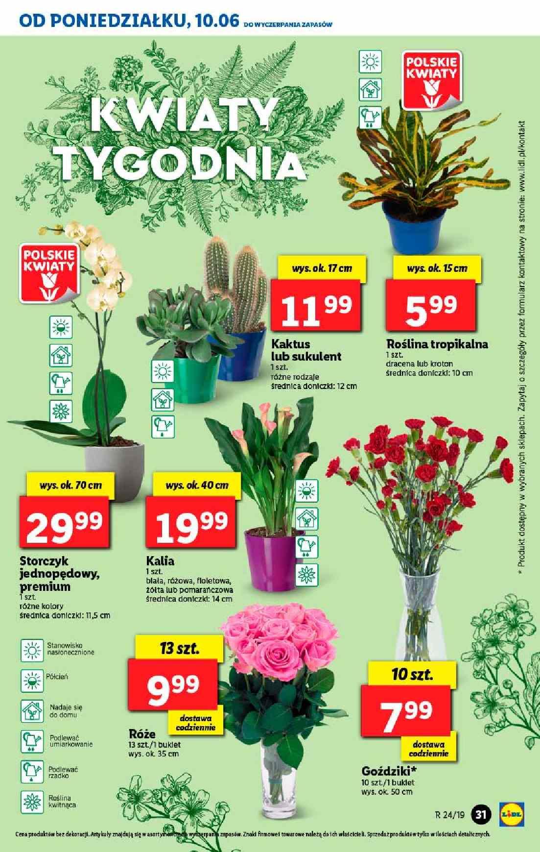 Gazetka promocyjna Lidl str. 31