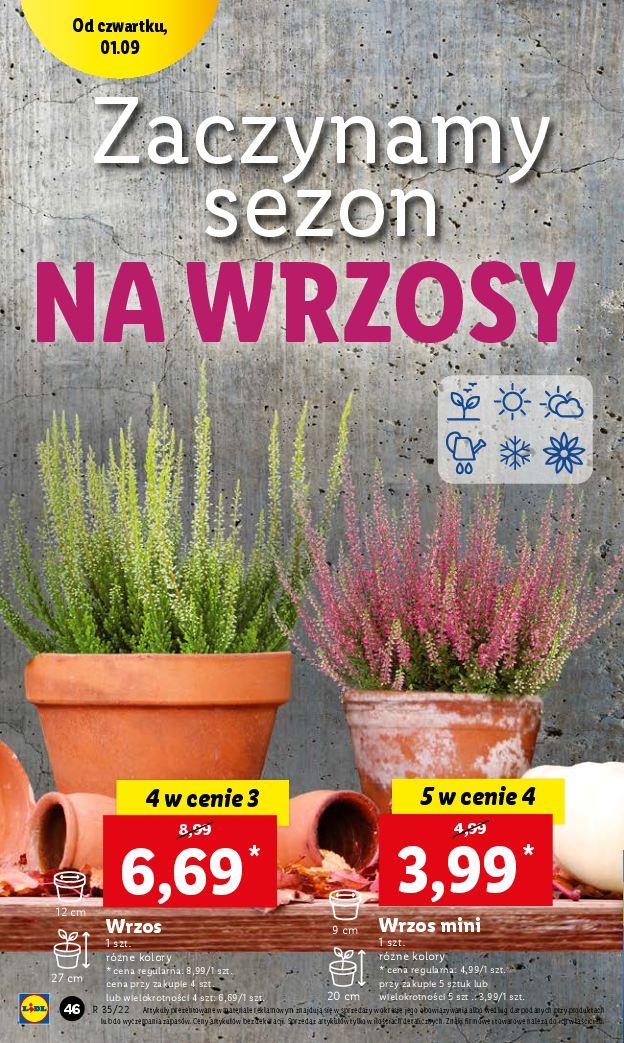 Gazetka promocyjna Lidl str. 46