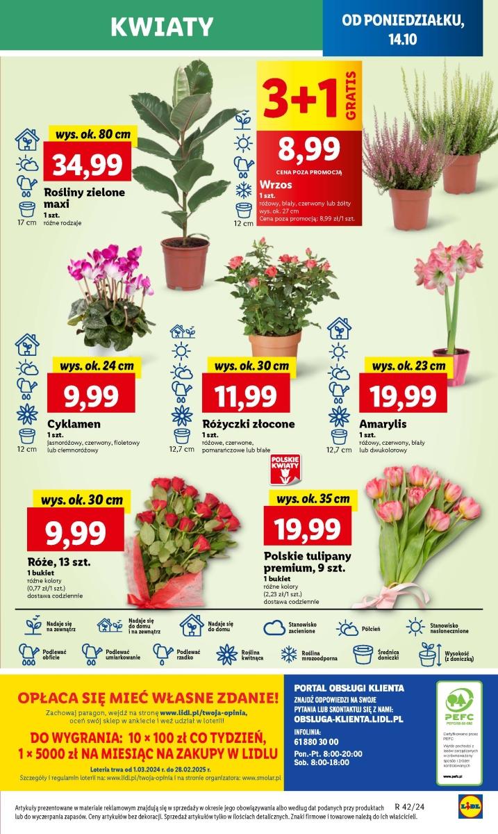 Gazetka promocyjna Lidl str. 51