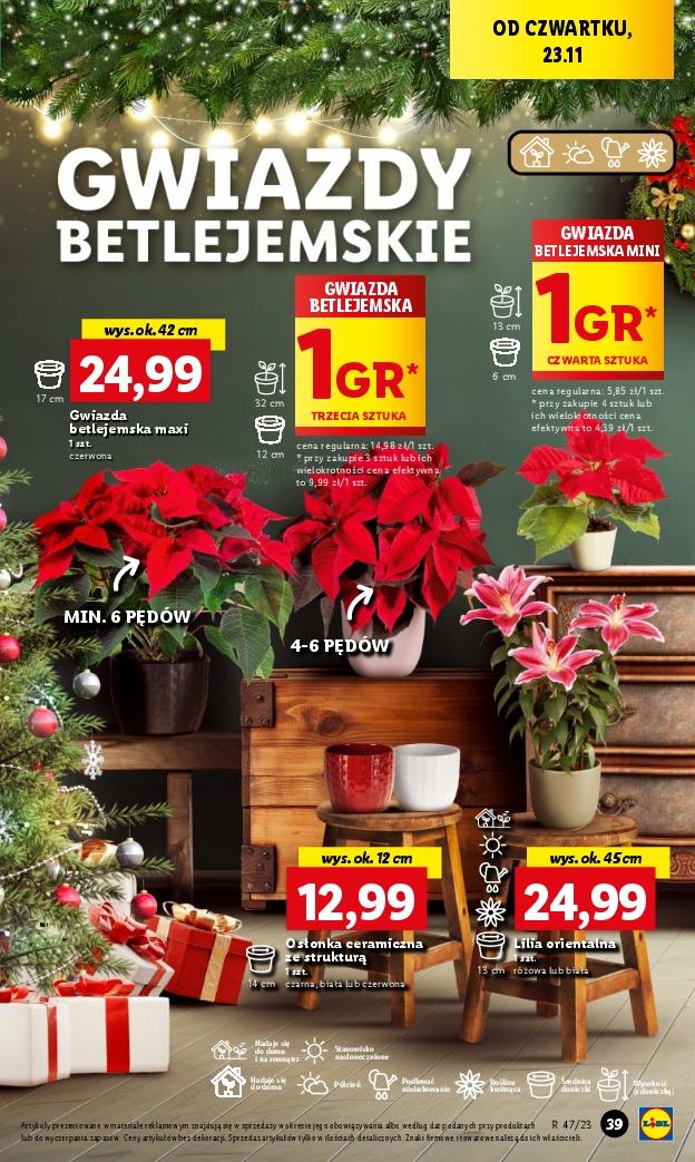 Gazetka promocyjna Lidl str. 55