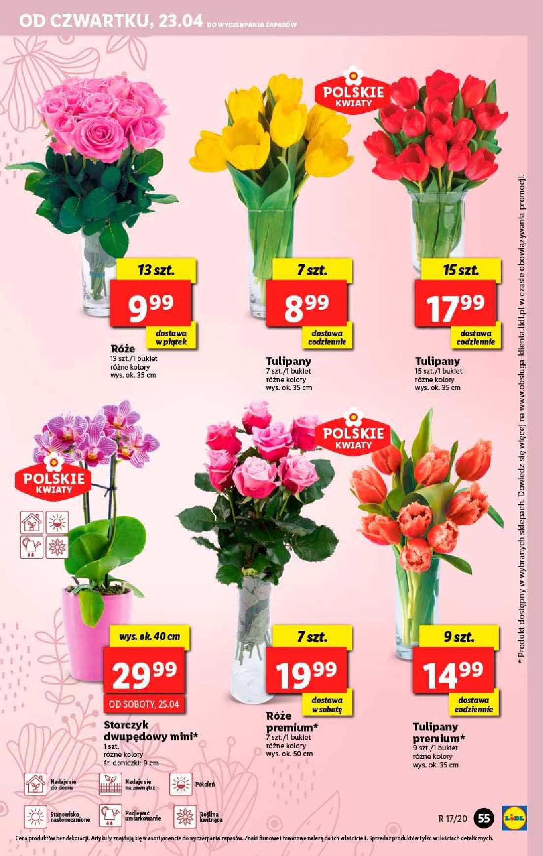 Gazetka promocyjna Lidl str. 55