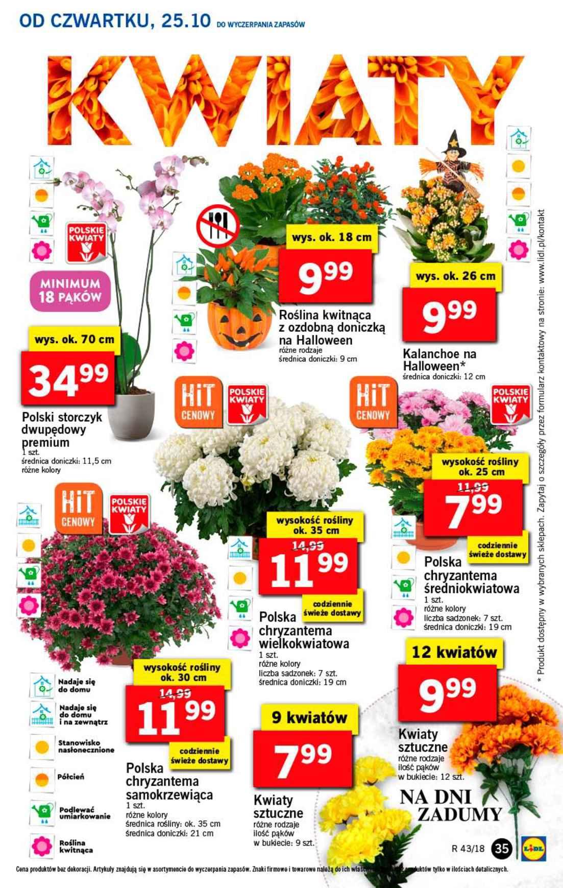 Gazetka promocyjna Lidl str. 35