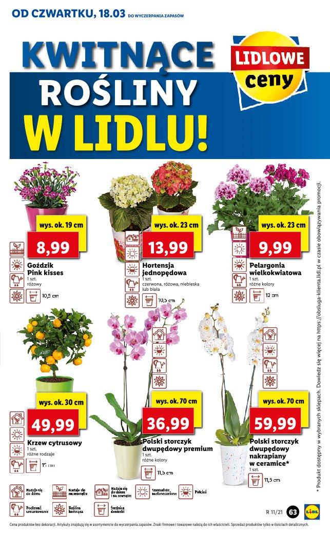 Gazetka promocyjna Lidl str. 63