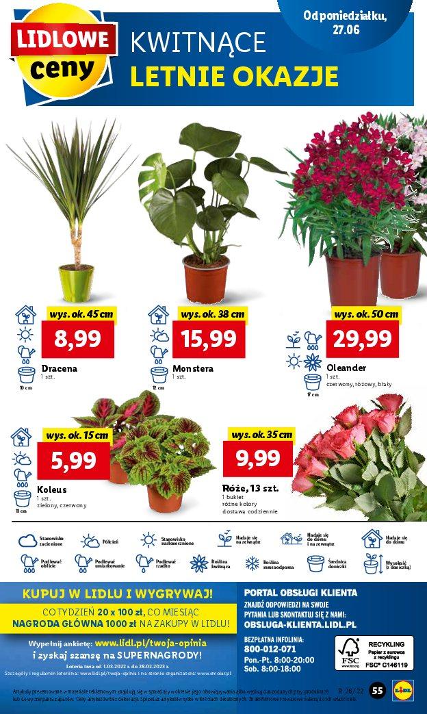 Gazetka promocyjna Lidl str. 55