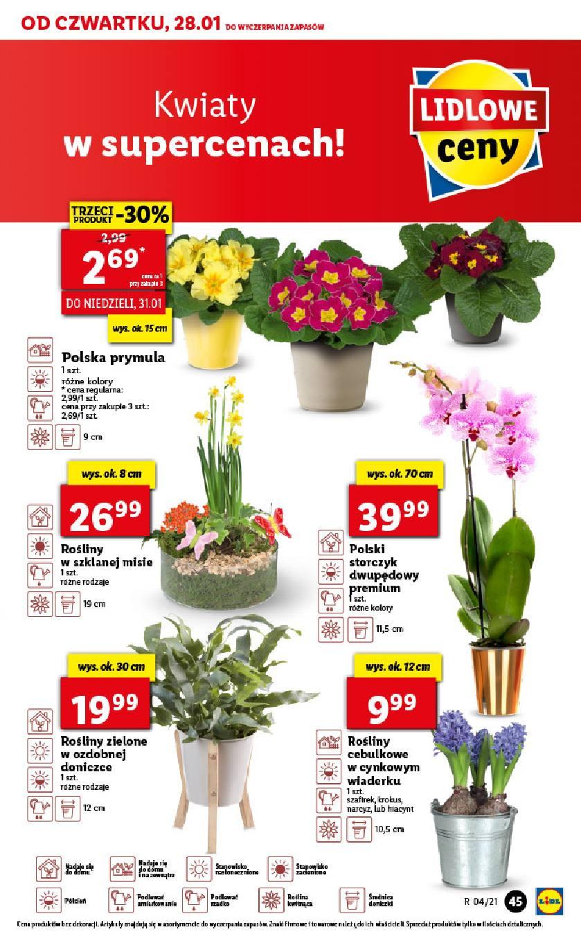 Gazetka promocyjna Lidl str. 45