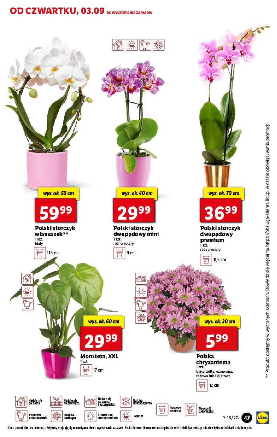 Gazetka promocyjna Lidl str. 47