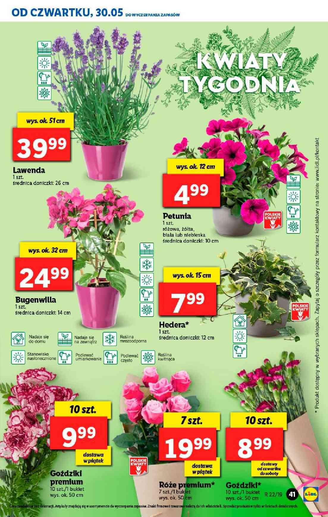 Gazetka promocyjna Lidl str. 41