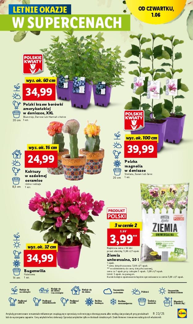 Gazetka promocyjna Lidl str. 43