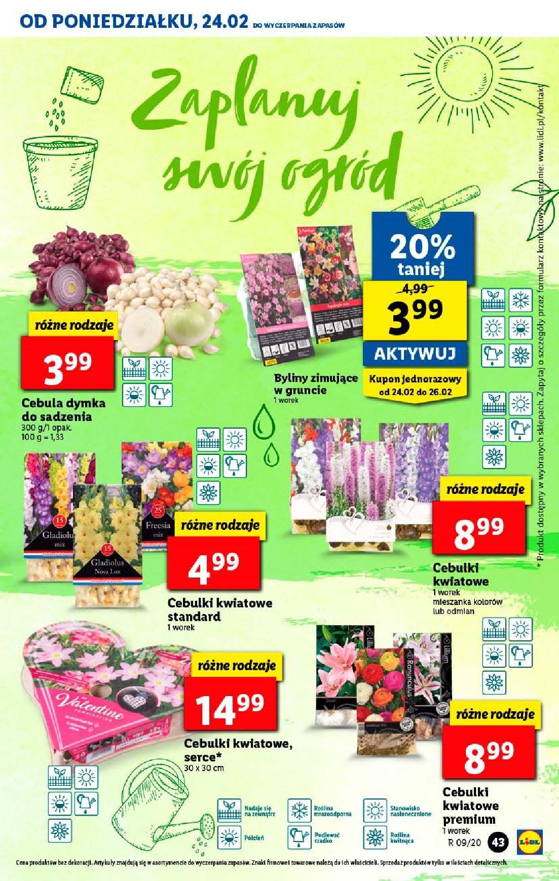 Gazetka promocyjna Lidl str. 43