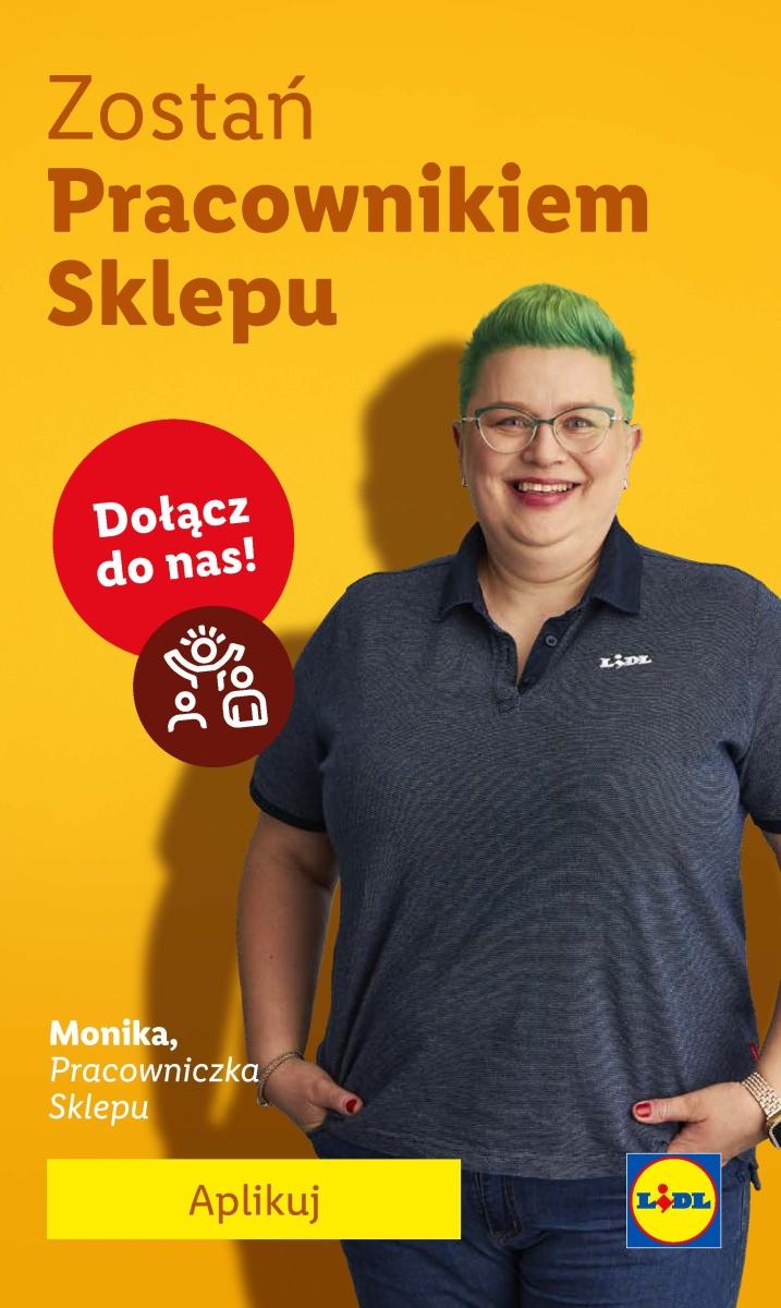 Gazetka promocyjna Lidl str. 62