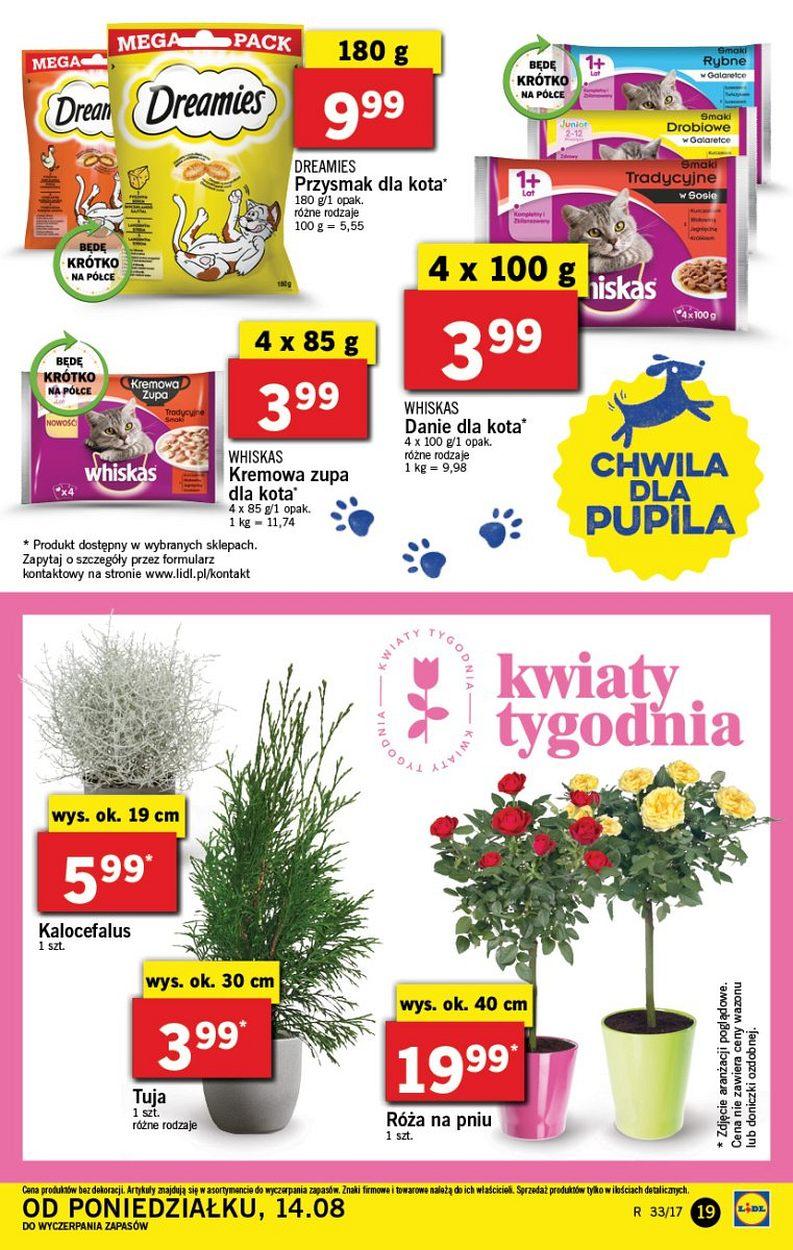 Gazetka promocyjna Lidl str. 19