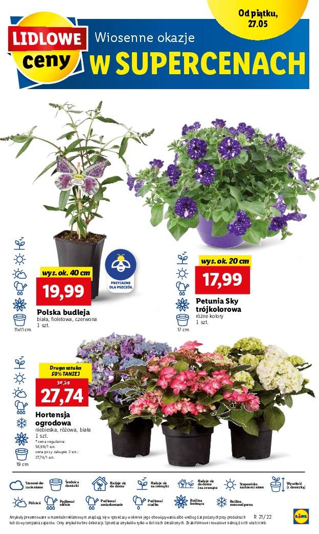 Gazetka promocyjna Lidl str. 53