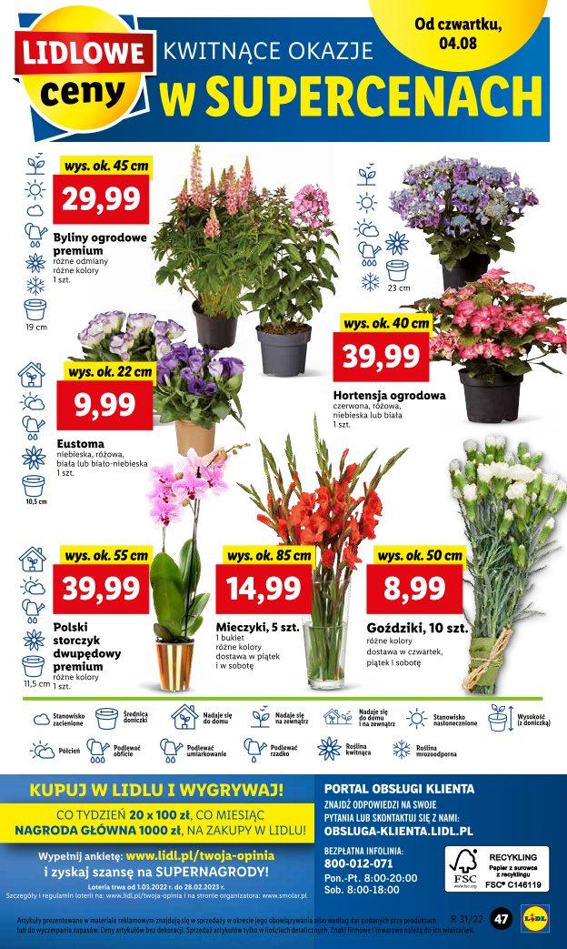 Gazetka promocyjna Lidl str. 47