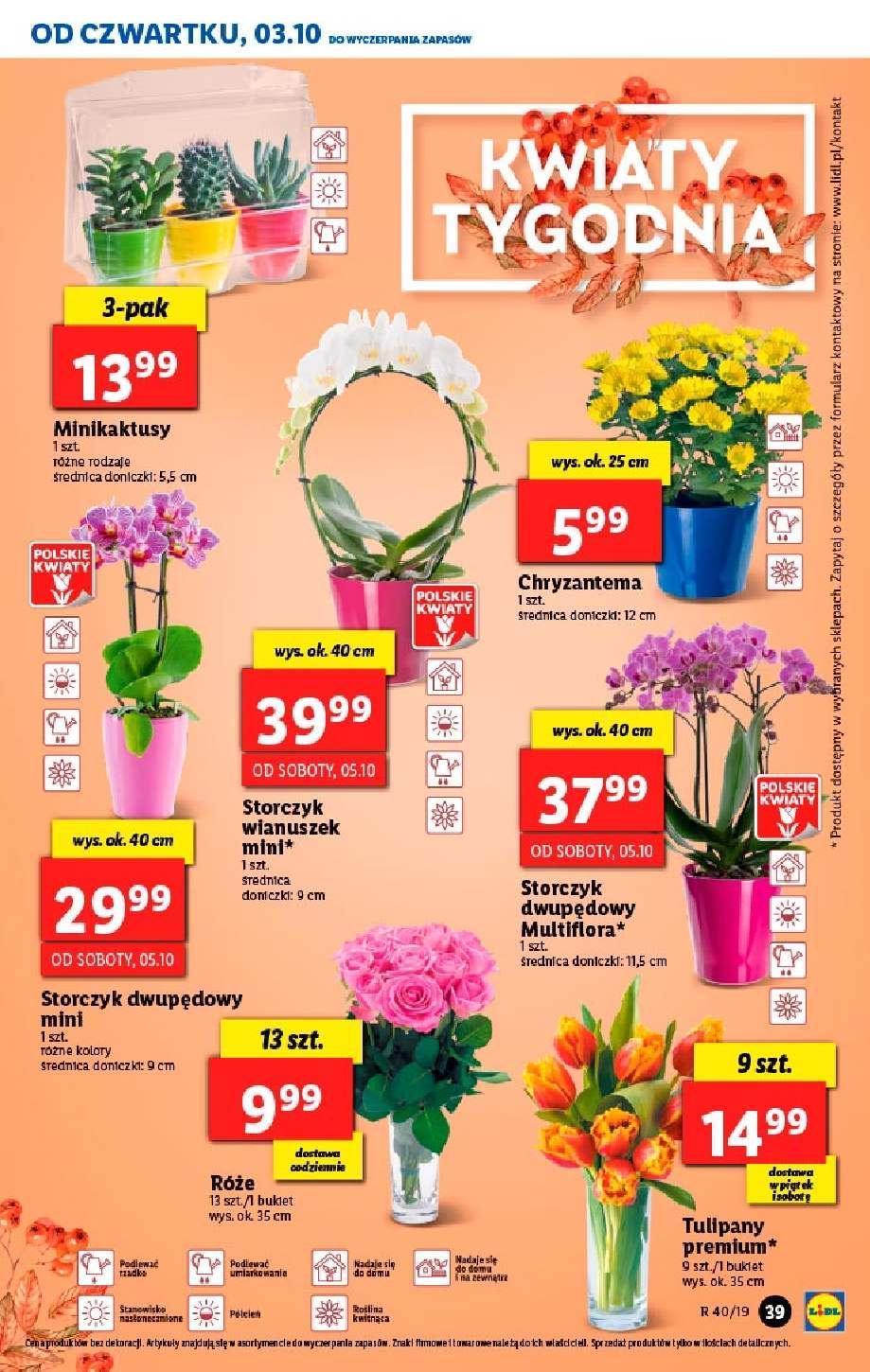 Gazetka promocyjna Lidl str. 39